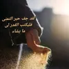 user7422141977263