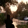 natysh_j