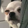 noo_0n0