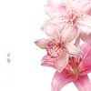 theonly.samah