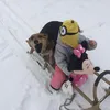 skibidikqjunaa