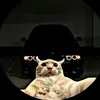 subson1