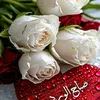 fahad91860