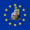europeanowl