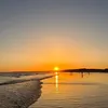 isla.fegan1