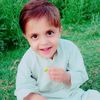 mashal.amjid