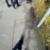 therealtwig1