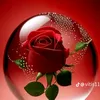 roza.1390