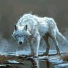 ghostthewolfie