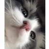 _qwlynn