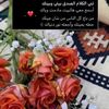 user437606610506