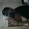 lilvox028