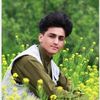 janagha.sayad