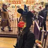 raamendaisuki08