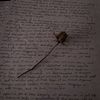 young_writer2009