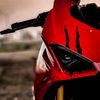 bamsbuy