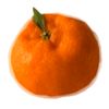__tangerine_1