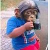 1monkey76