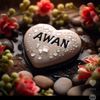 awan29536