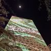 meshalalmutairi88