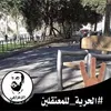 majidabdel07