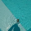 beginsrivia
