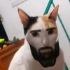 mrincgnito5