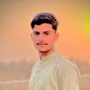 bhatti_brand508