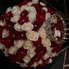 noura1.04