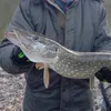 cyrilberton49