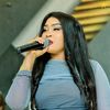 هولندي ❤️‍🔥❤️‍🔥❤️‍🔥