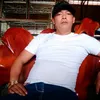 huy.le7264