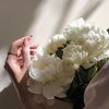 bisho_37