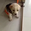 ng.gia.bo0