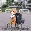 alva.henao