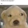 laura.jazmn.espin