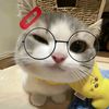 witaaaa_77
