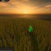 filix_5529