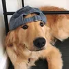arf2j