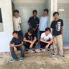banphop31
