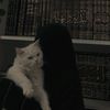 nehan0042