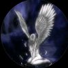 andreiq777