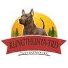 Rungthunya-TRD ไทยหลังอาน