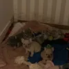 jaspermcb