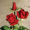 naing.linkyaw1