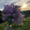 m_a_r_531