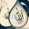 zain.baqir8