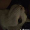 cati.xoxo75