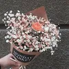 mai.tran9798
