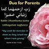 shaami731
